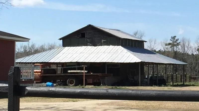 Beyond Smoke: How Heat-Not-Burn Technology Reveals the True Flavor Architecture of Tobacco